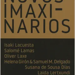 Novos imaxinarios
