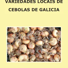 Variedades locais de cebolas de Galicia