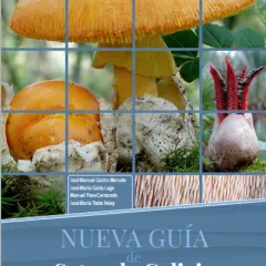 Guía de setas de Galicia