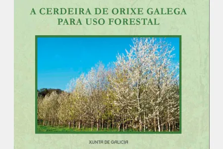 A cerdeira de orixe galega para uso forestal
