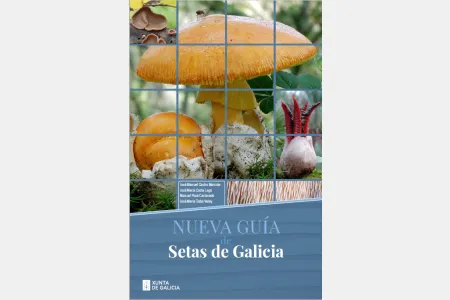 Guía de setas de Galicia